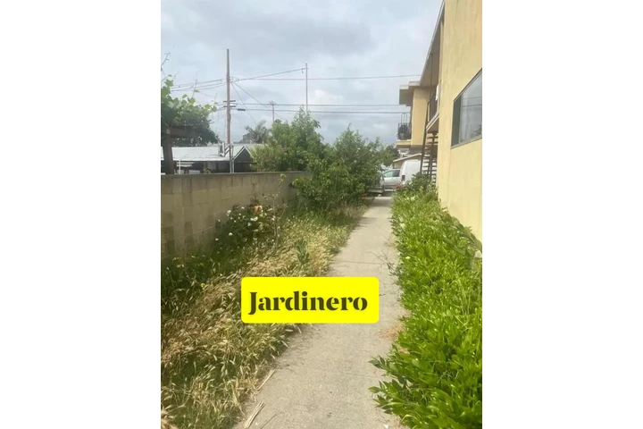 Corte de pasto a domicilio image 10