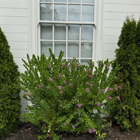 JM Landscaping Services image 2