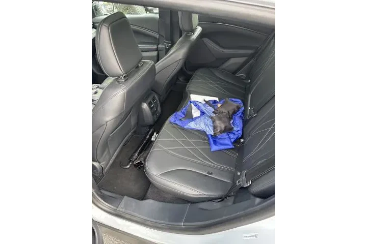 $26621 : Ford Mustang Mach-E 2022 AWD image 8