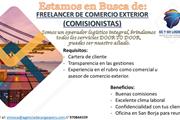 Freelancer  comercio exterior