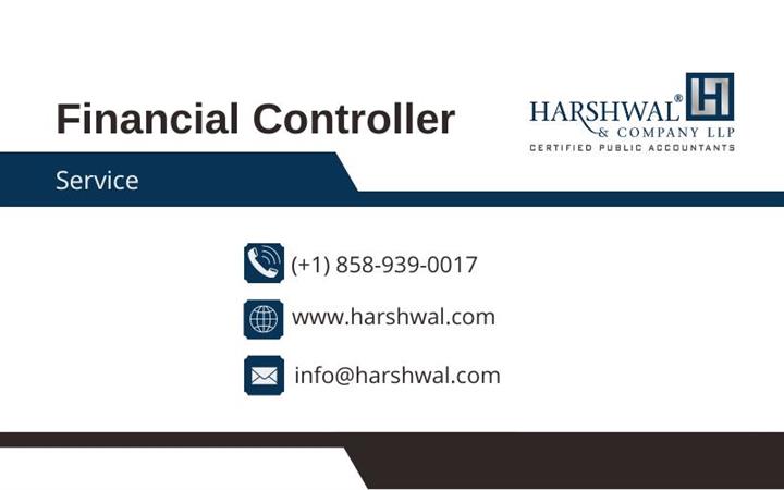 Expert financial controller image 1