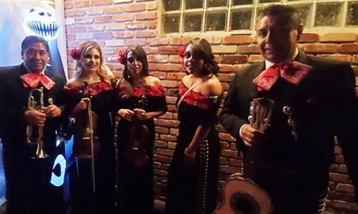 Mariachi Mi Jalisco image 4