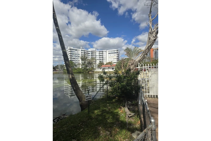 $800 : Rento habitación sra sola image 1