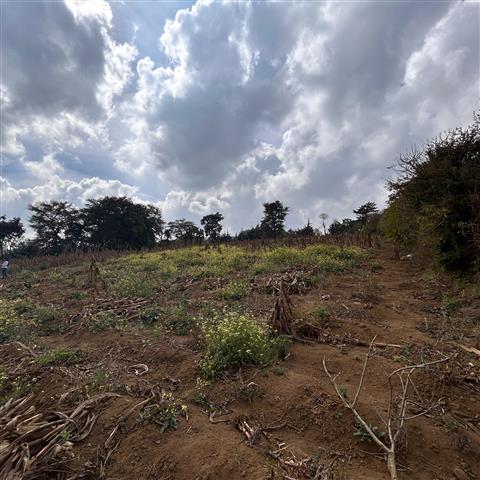 $1 : Terreno en venta en Zaragoza image 2