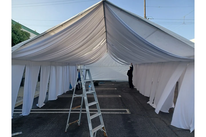 CARPA*S*TORO*S $300*CALENTONES image 9