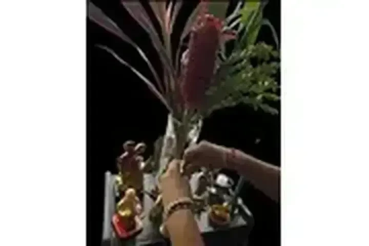 VIDENTE EMILIA image 1