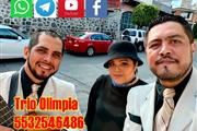 trio musical ciudad de mexico en Mexico DF