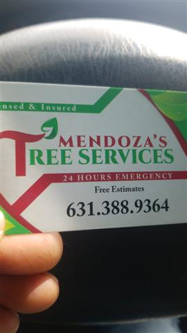 Mendozas tree service image 1
