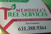 Mendozas tree service en Long Island
