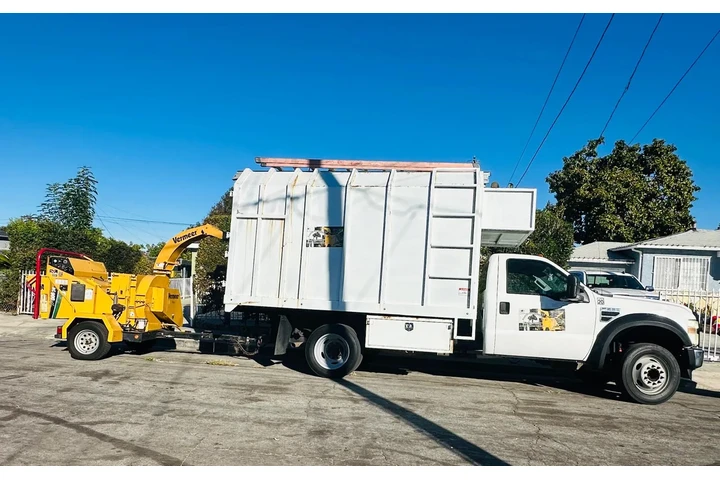 🌳 Tree Service Today! image 10