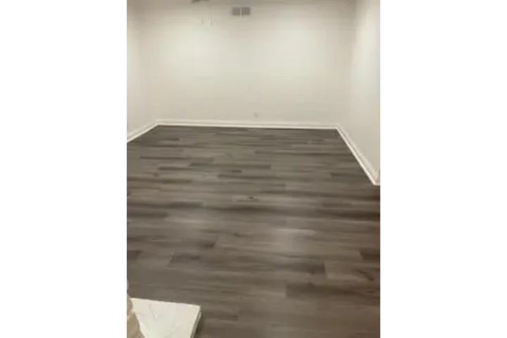 Ramona’s Carpet image 1