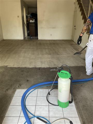 Steam Carpet Cleaning image 3