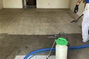 Steam Carpet Cleaning thumbnail 3