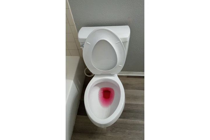 House cleaning image 3