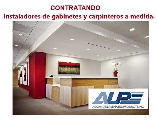 A.L.P ESTA CONTRATANDO: image 1