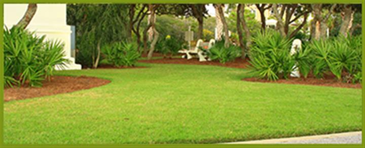 Richy Mendoza Landscaping image 7