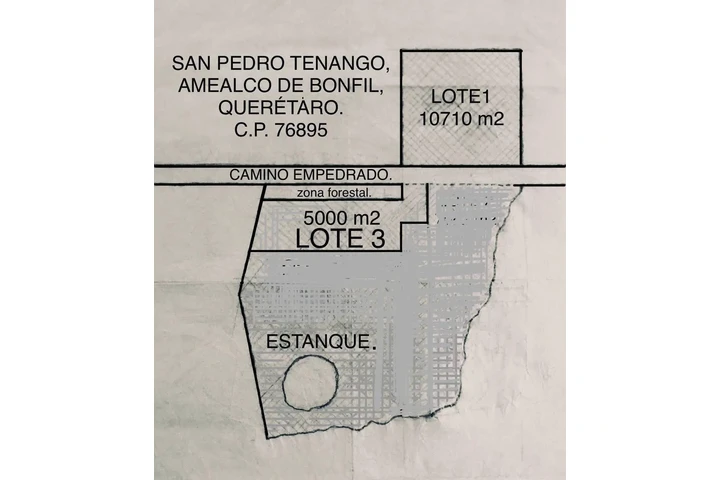 $800000 : TERRENO D 5000M2 CERCA AMEALCO image 10
