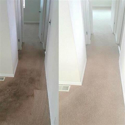 Hernandez Carpet Cleaning image 1