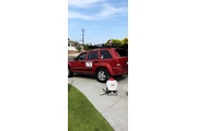Exterminator de plagas en Los Angeles