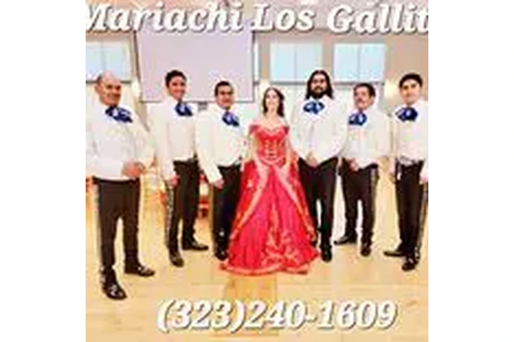 Mariachi Los Gallitos image 1