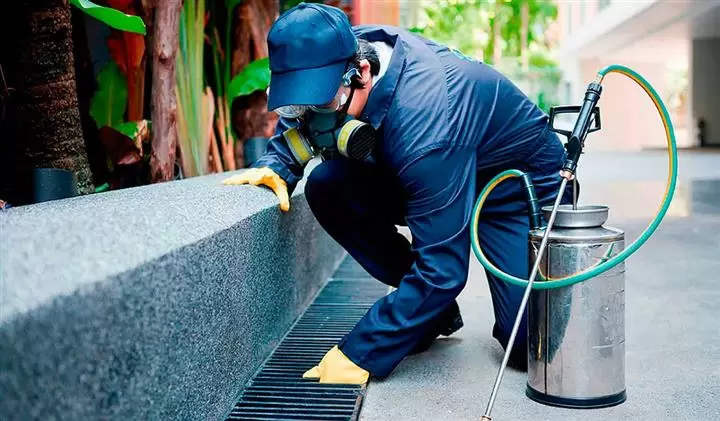 Servicio de fumigacion image 3