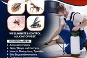 FUMIGACIONES 24/7 TERMITE-PEST thumbnail