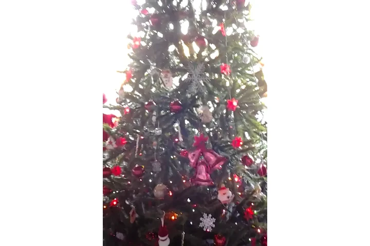 $95 : OBO Árbol Navidad 9” image 2