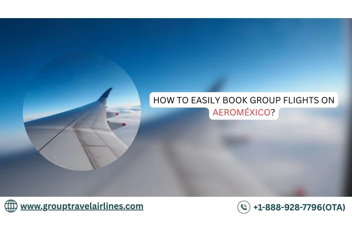 Aeromexico Group Travel image 1