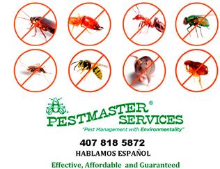 Pestmaster Services of Orlando image 3
