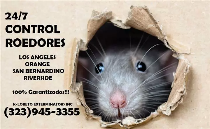 PEST CONTROL SERVICES 24/7.- image 6