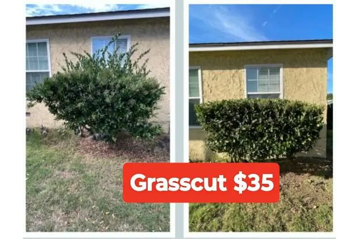 Corte de pasto 🌿👷🏼 image 3