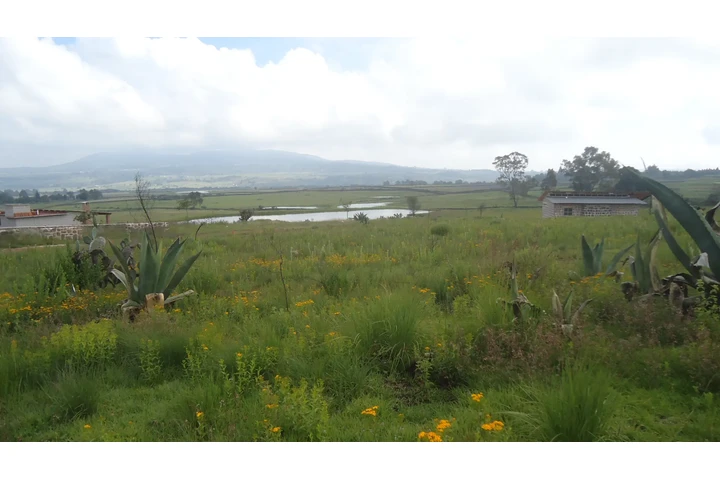 $247500 : TERRENOS DE 250M2 CERCA AMEALC image 7