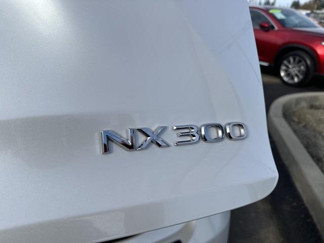 $29890 : 2020  NX 300 Base image 10