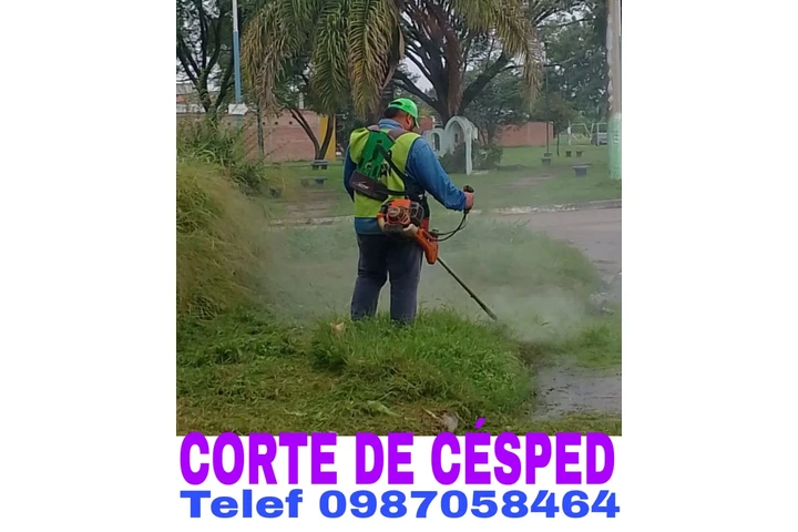 Corte de Cesped en Quito image 1