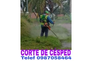 Corte de Cesped en Quito en Quito