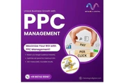 enterprise ppc automation en New York