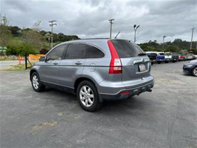 $7779 : 2008 HONDA CR-V image 8