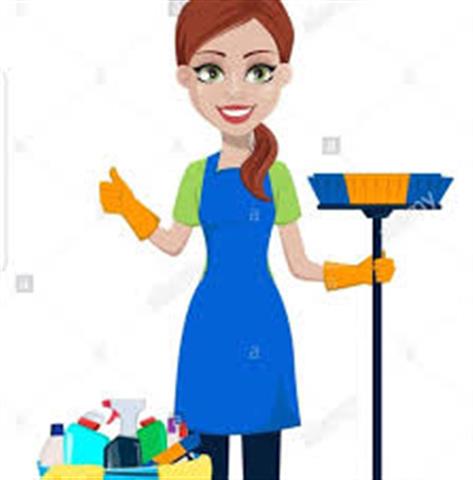 house cleaning services kary's image 2