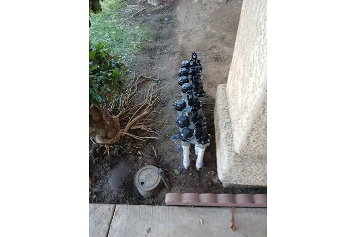 Tree & Landscaping Services image 7