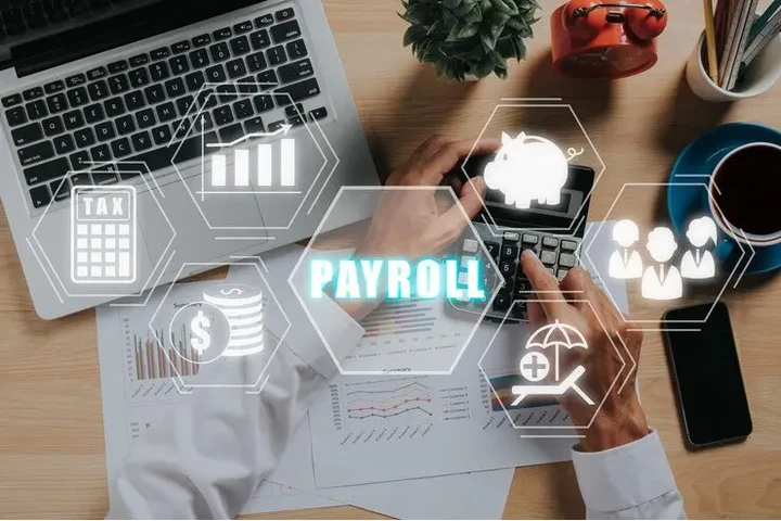 Advanced Payrol Software image 1