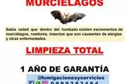 DESINFECCION DE TUMBADOS en Guayaquil