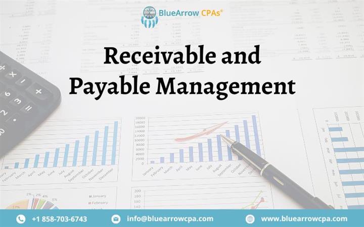 Receivable Payable Management image 1