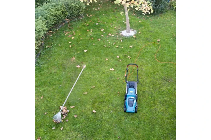 Expertos en Lawn Care image 4