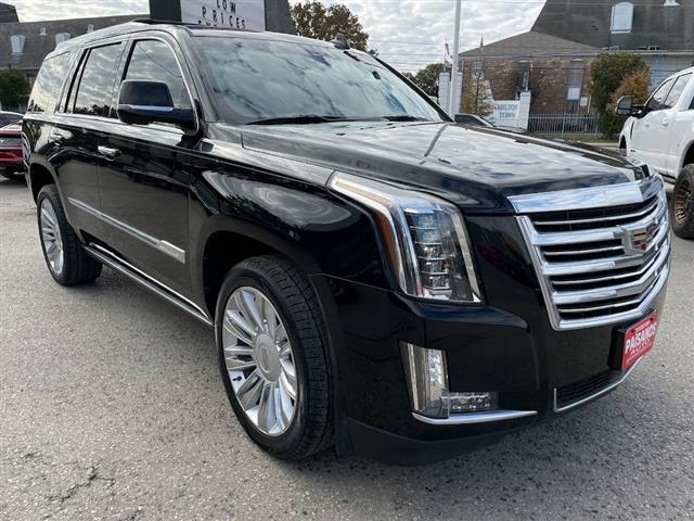 2017 Escalade 4WD 4dr Platinum image 3