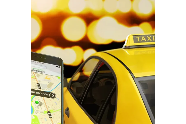 LA PANTERA TAXI image 2