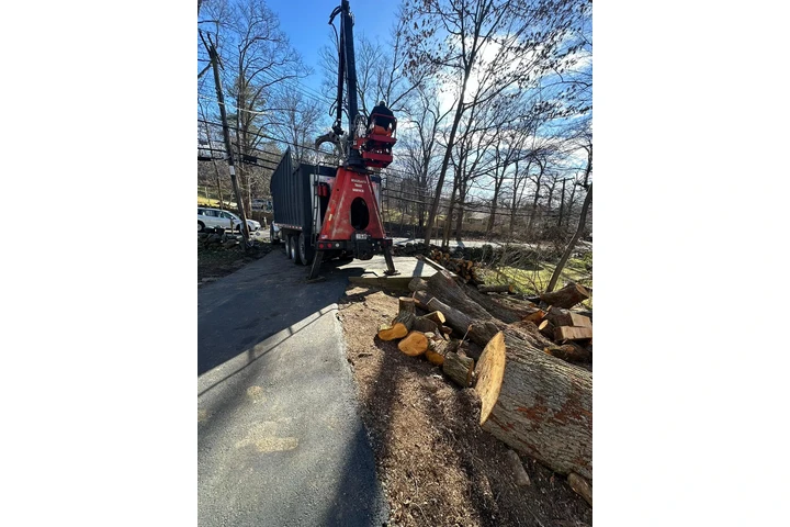 Pinesbridge Tree Service INC image 7