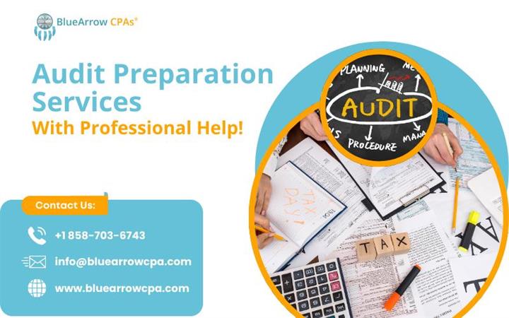 Audit preparation services image 1