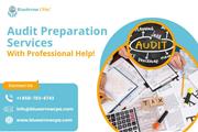 Audit preparation services