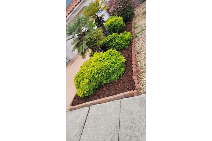Professional Landscaping image 6