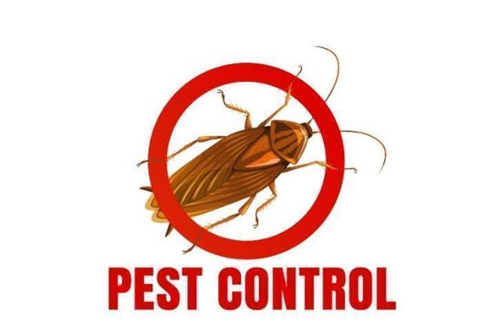 PIÑAS PEST CONTROL🦟🐀🐛 image 2